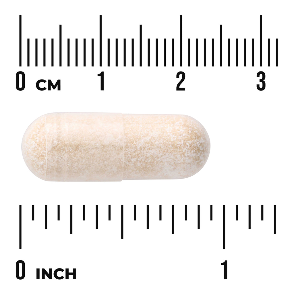 SWH167 | Beige capsule shown with ruler for size, labeled 0 CM and 0 INCH - Thumbnail