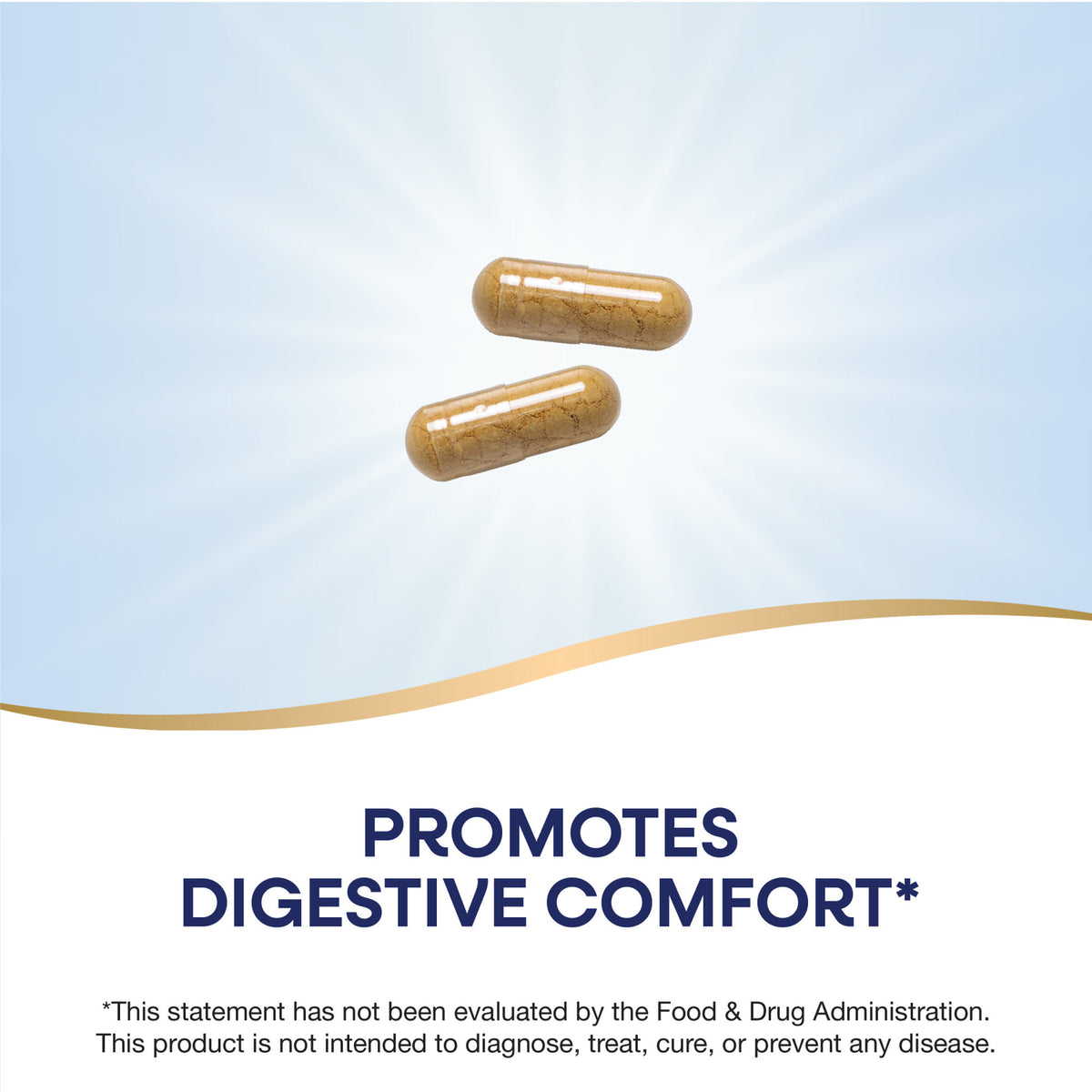 NW486 | Two brown capsules with the text Promotes Digestive Comfort