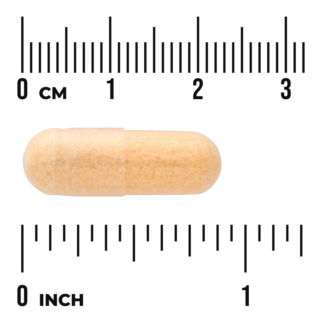SW1418 | Orange capsule shown to scale with cm and inch rulers - Thumbnail