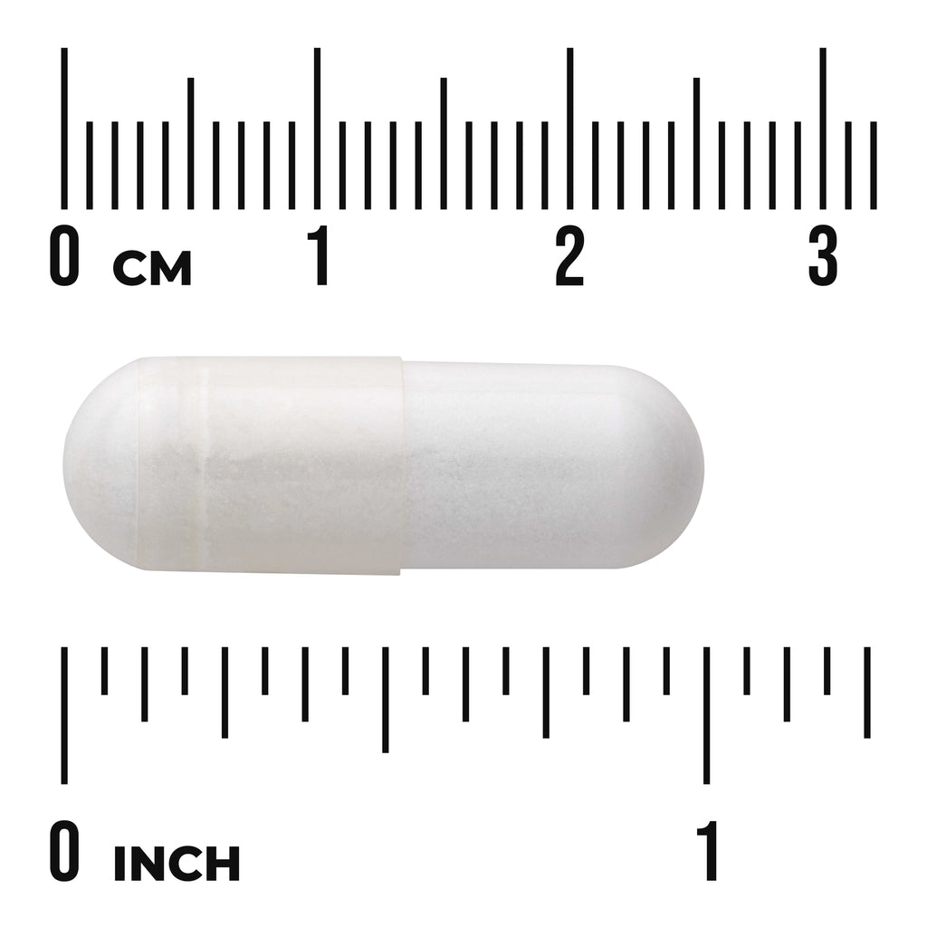 SW1910 | White capsule centered between centimeter and inch rulers showing size, visible text CM and INCH - Thumbnail
