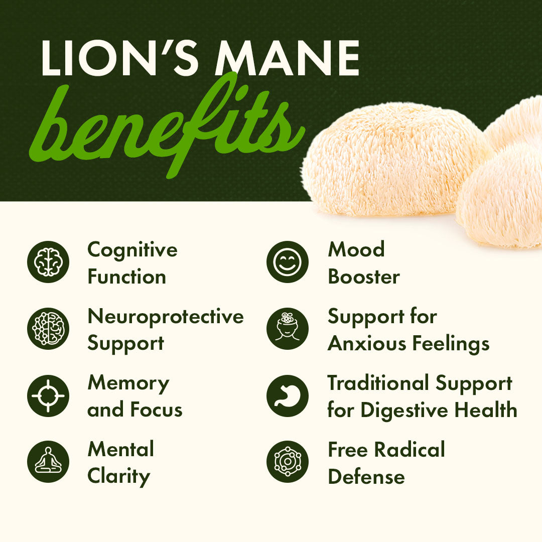 SW1945 | LION'S MANE benefits Cognitive Function Neuroprotective Support Memory and Focus Mental Clarity Mood Booster Support