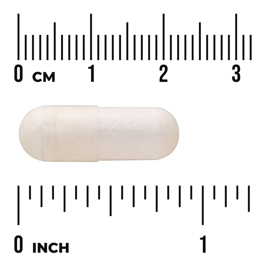 SW1243 | White capsule on centimeter and inch rulers showing approx 2 cm length - Thumbnail