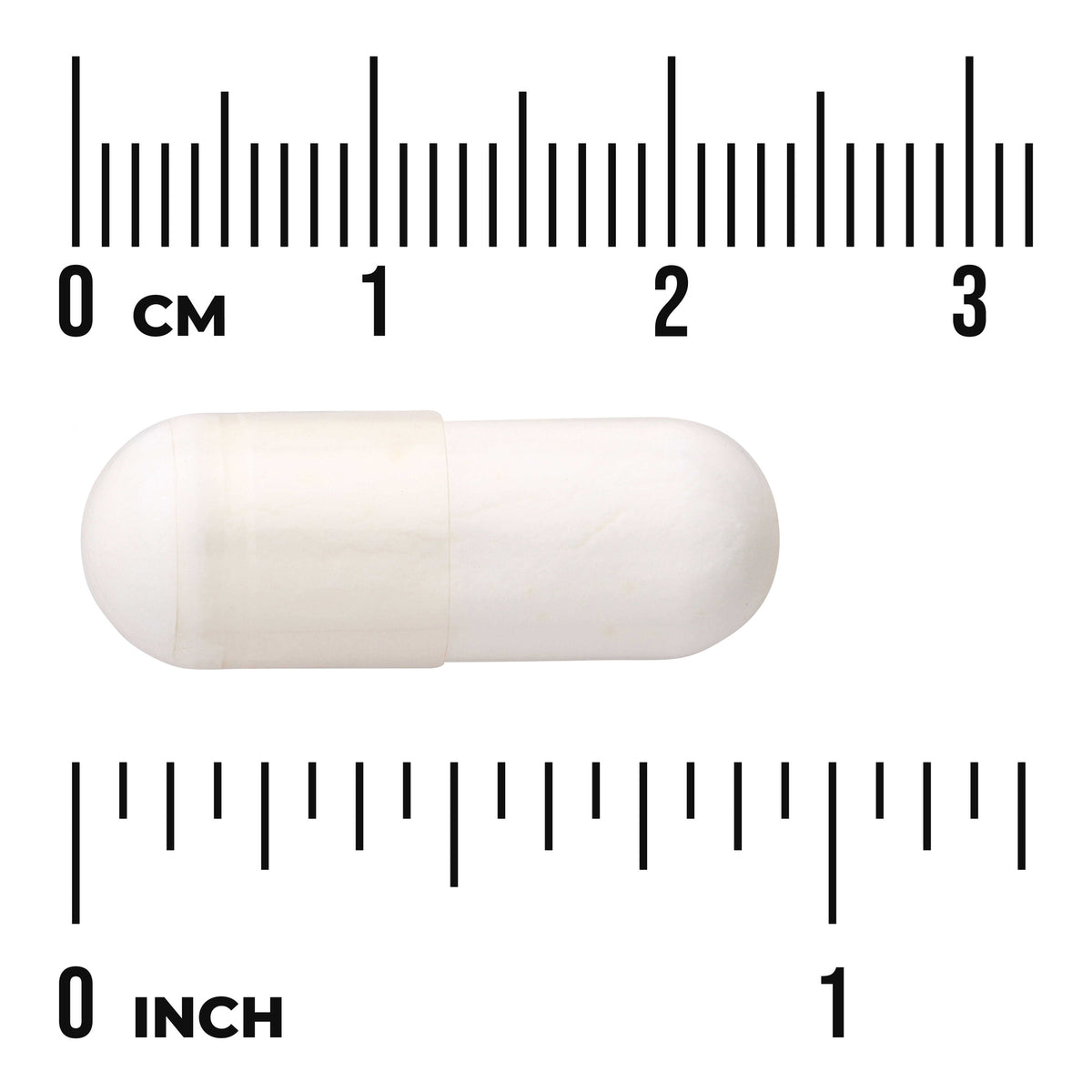 SWA038 | White two-piece capsule on metric and inch rulers showing "0 cm" and "0 inch"