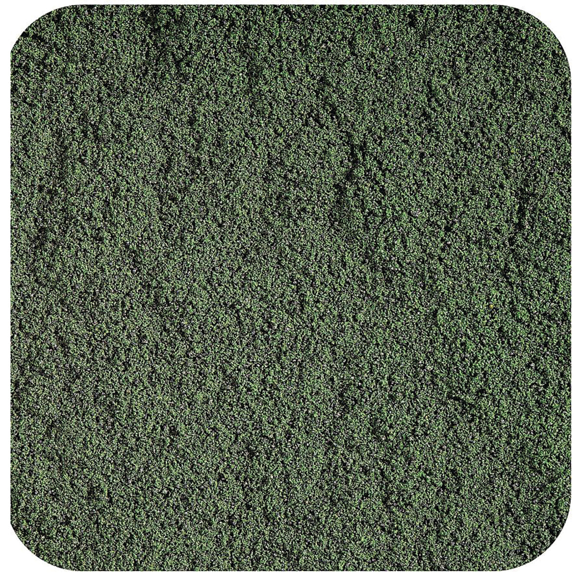 STB006 | Close-up of dark green powder