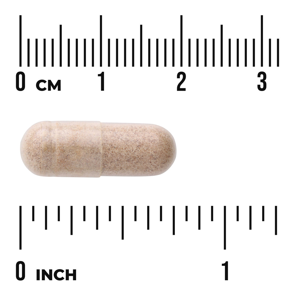 SWU366 | beige capsule photographed with centimeter and inch rulers to show size - Thumbnail