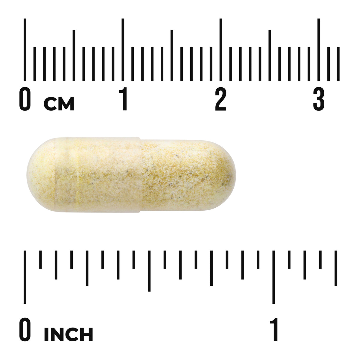 SWH264 | Capsule form shown with centimeter and inch rulers for size reference