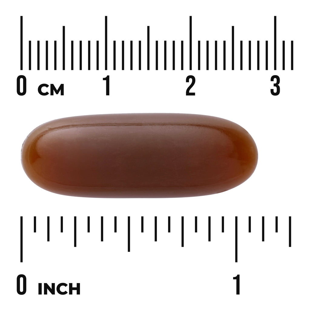 SW1583 | Brown oval softgel capsule centered on rulers showing centimeters and inches for size reference - Thumbnail