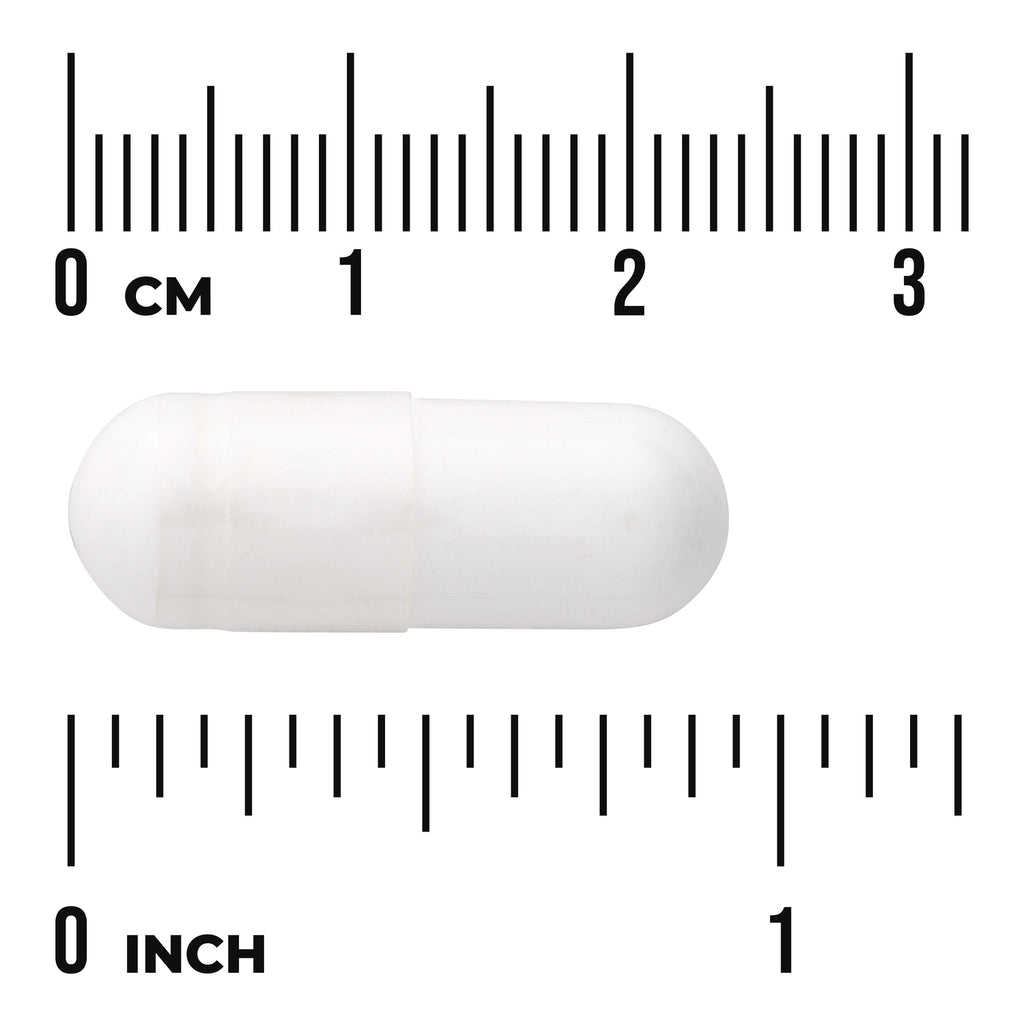 SW1925 | White two-piece capsule against rulers showing centimeters and inches, visible text "0 cm" and "0 inch" - Thumbnail