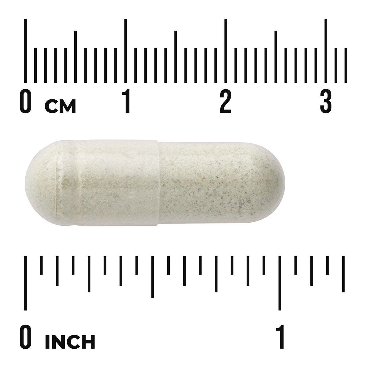SW1593 | Capsule with size reference in centimeters and inches