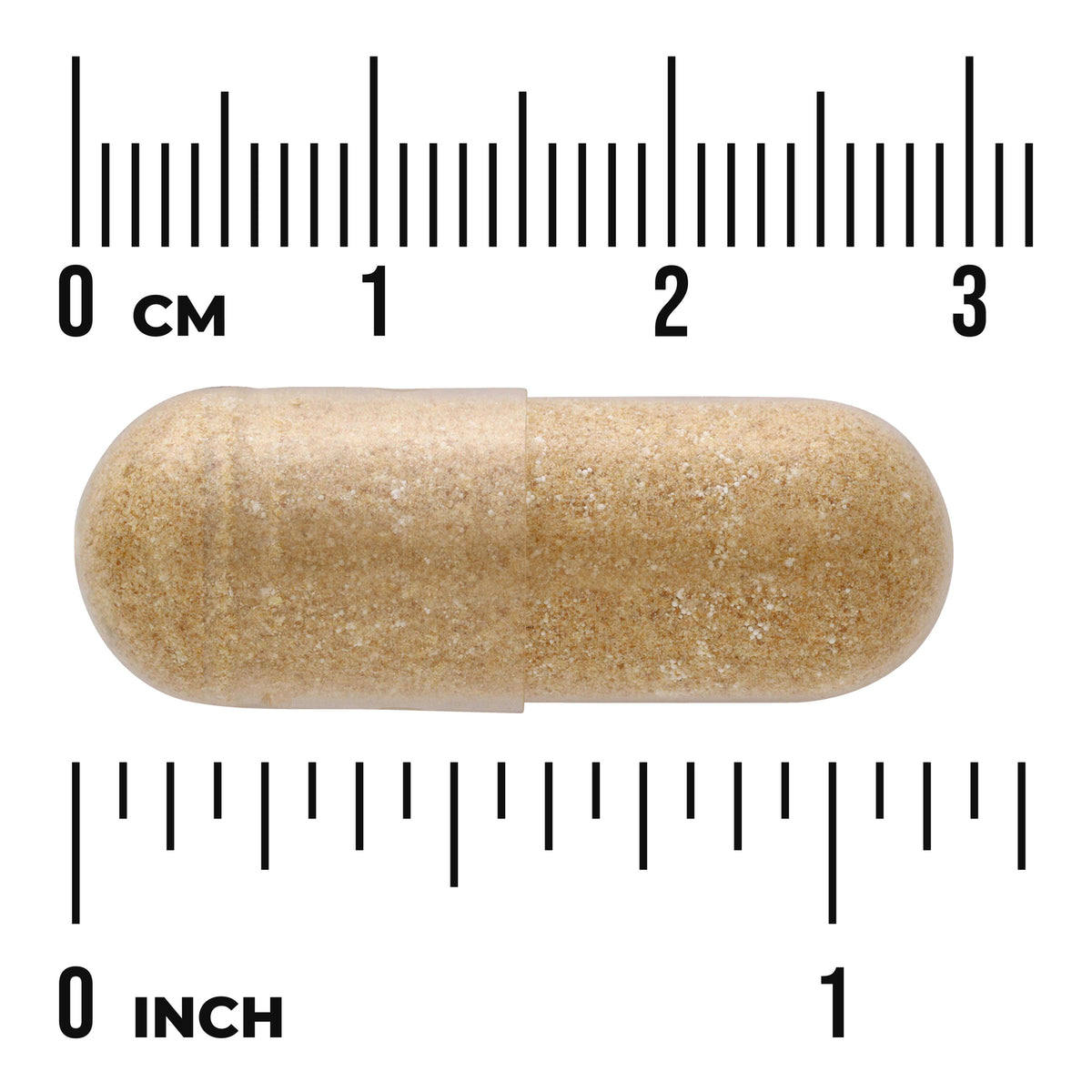 SW1128 | beige two-piece capsule on metric and inch rulers showing size about 1 inch