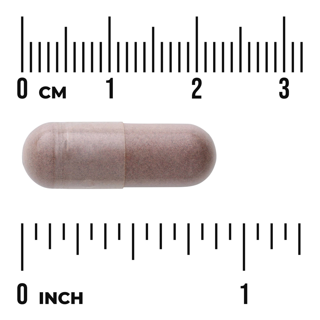 SW1272 | Brown supplement capsule centered between centimeter and inch rulers showing size, with visible "0 cm" and "0 inch" - Thumbnail
