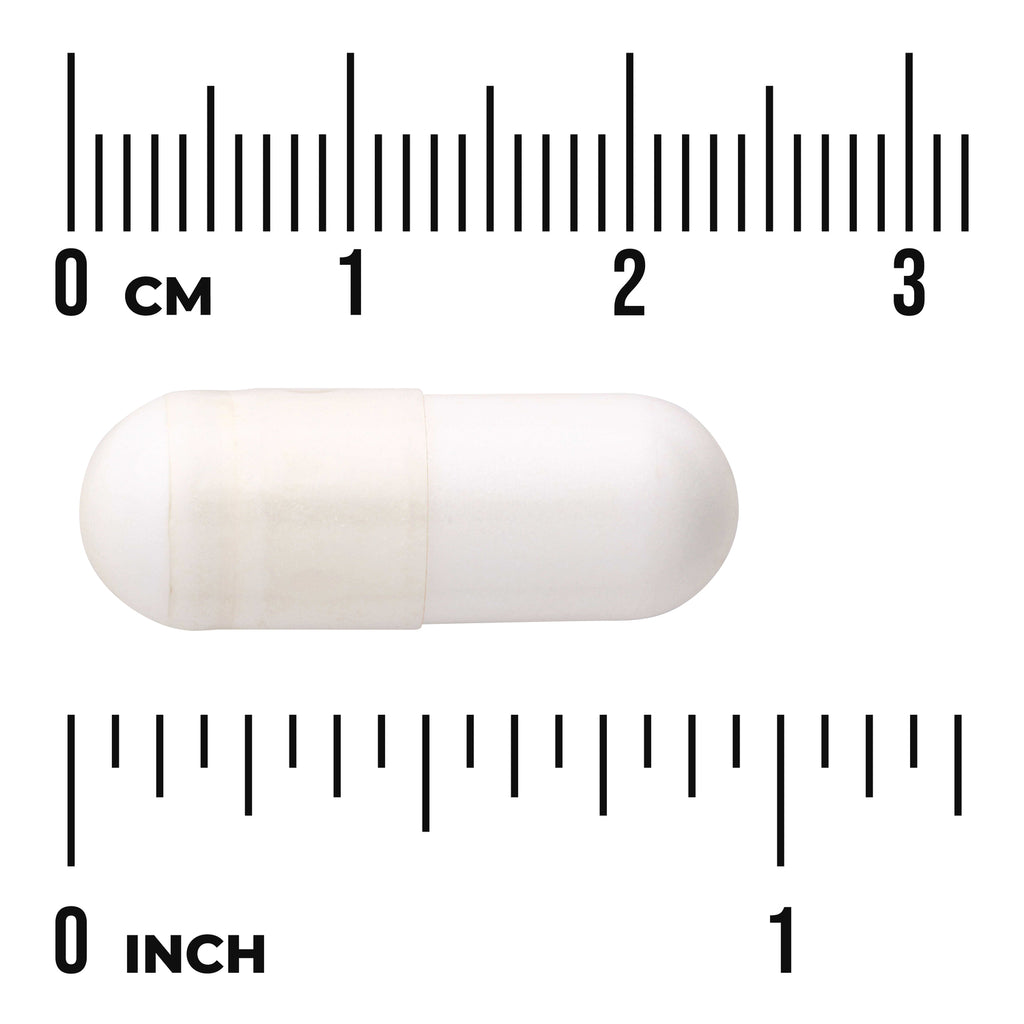 SW1238 | White capsule shown next to rulers, size indicated in cm and inches - Thumbnail