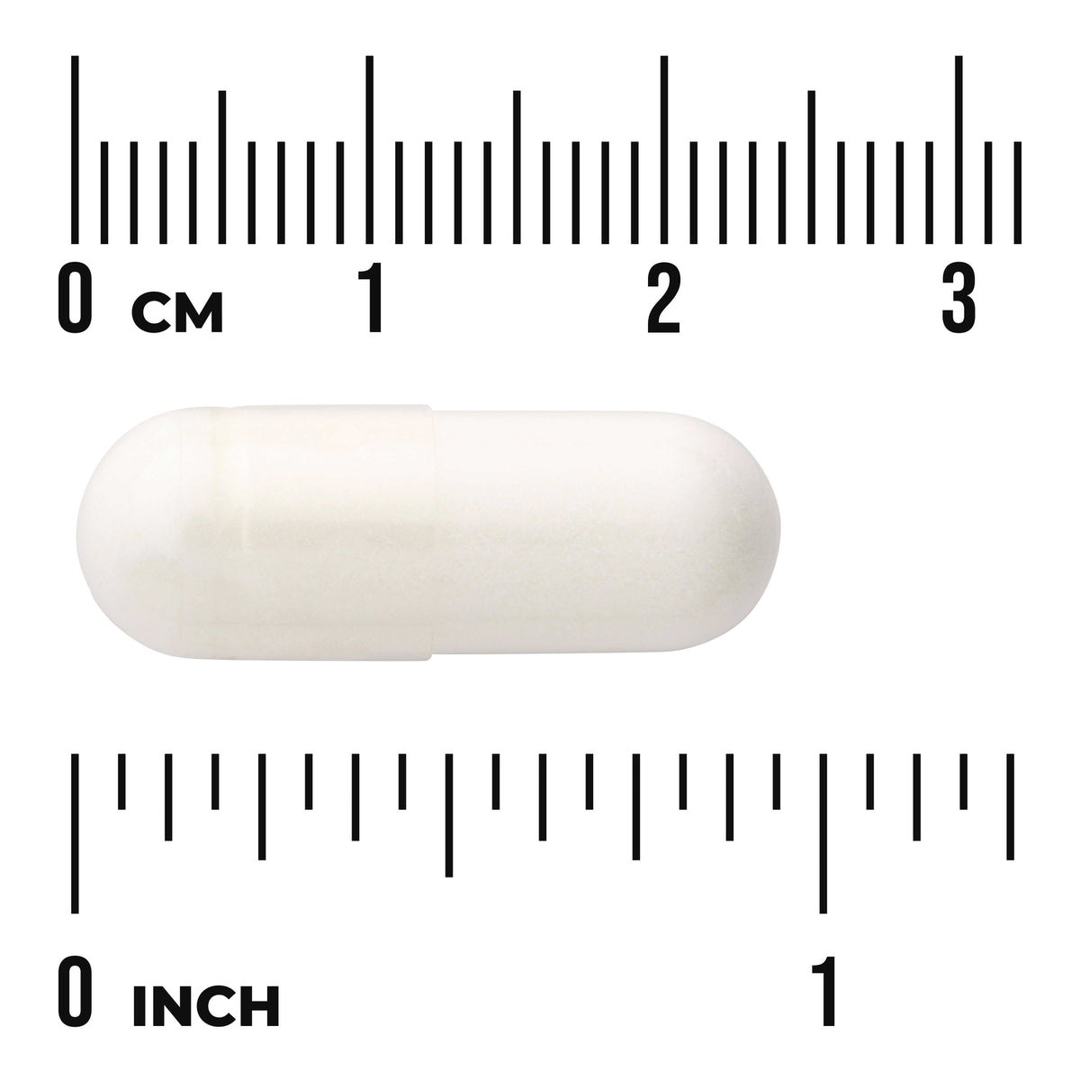 SWU1034 | White capsule shown with cm and inch rulers for size reference