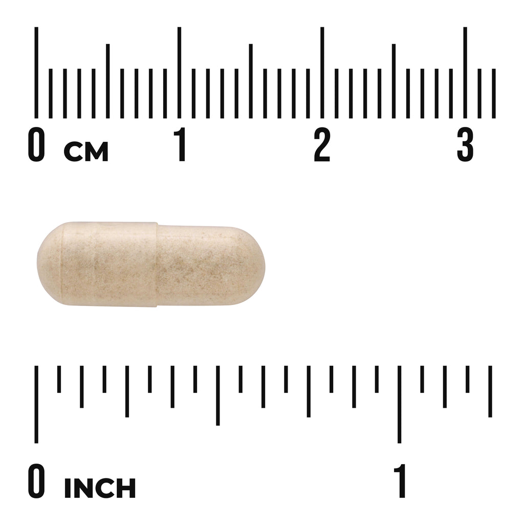 SWU500 | Beige supplement capsule centered between centimeter and inch rulers showing about 2 cm length - Thumbnail