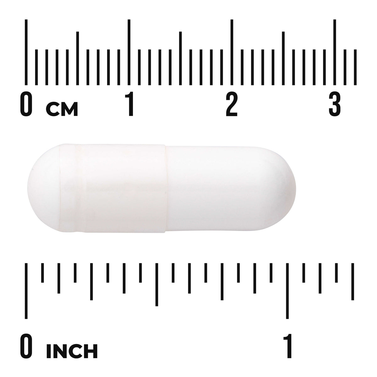 SWU676 | White capsule shown to scale with CM and INCH rulers