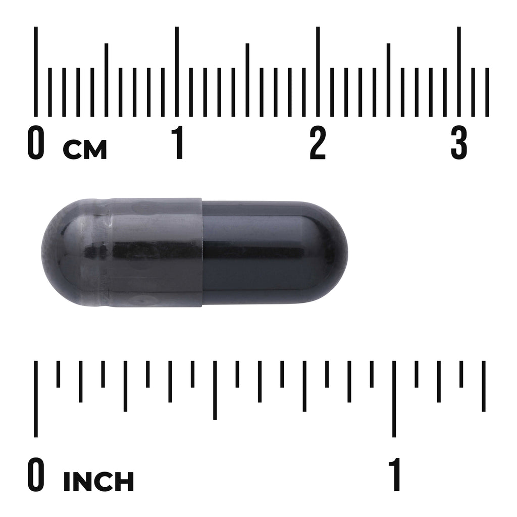 SW1355 | Black capsule next to centimeter and inch rulers showing scale - Thumbnail