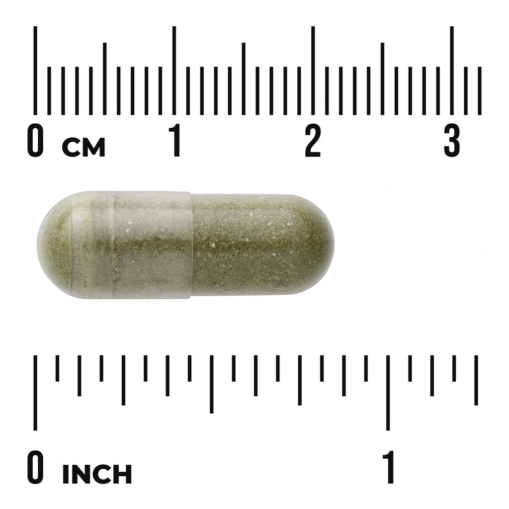 SW1402 | Green capsule with size scale in inches and centimeters - Thumbnail
