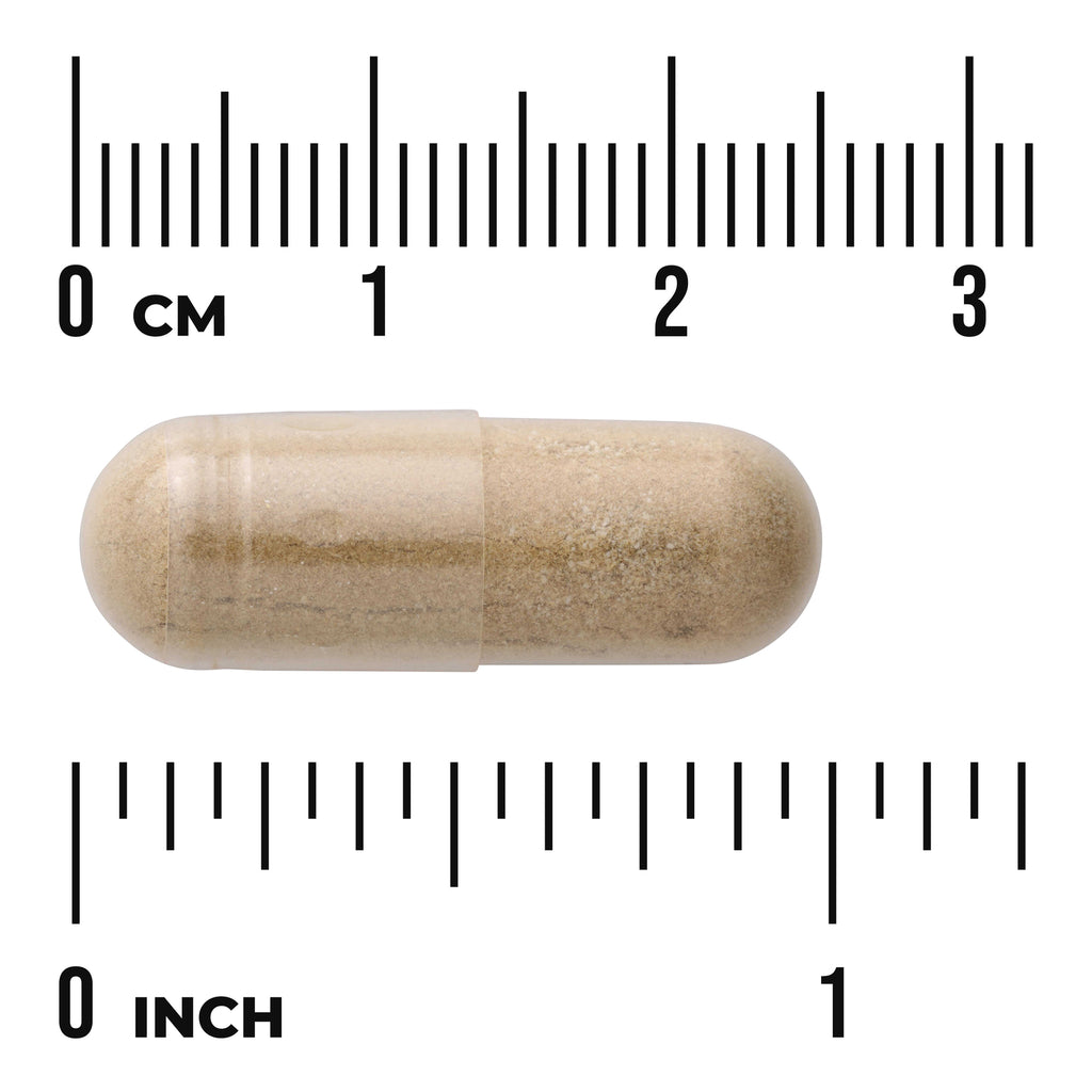 SW1143 | Beige capsule with size reference in inches and centimeters - Thumbnail