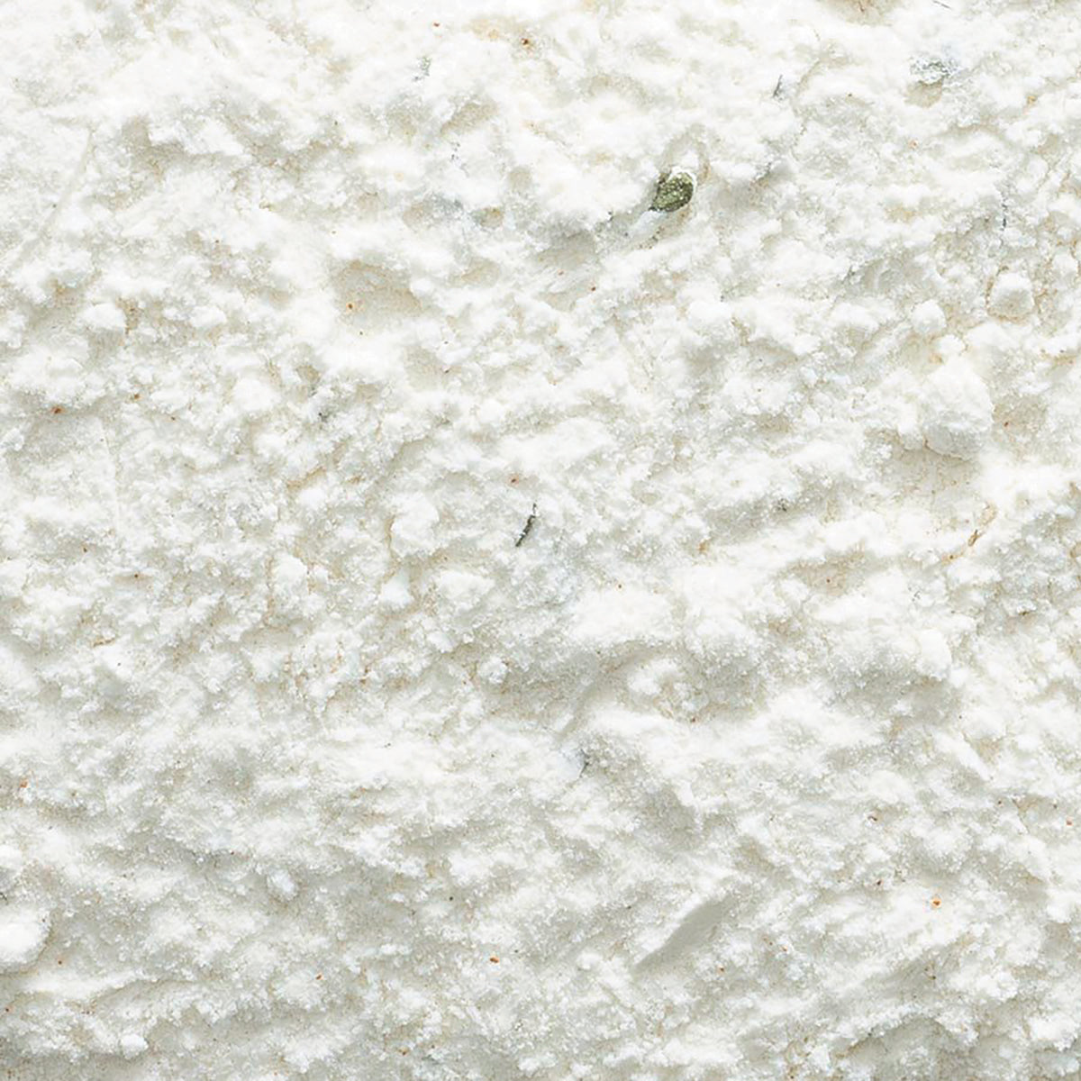 FNP077 | close-up of fine white powder with small clumps and granular texture