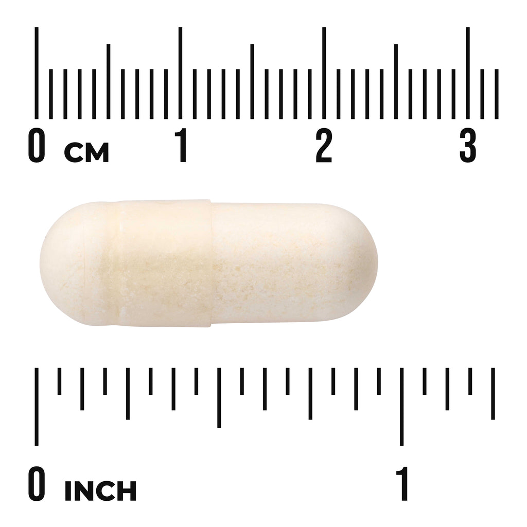 SWA045 | Capsule with size reference using centimeter and inch rulers - Thumbnail