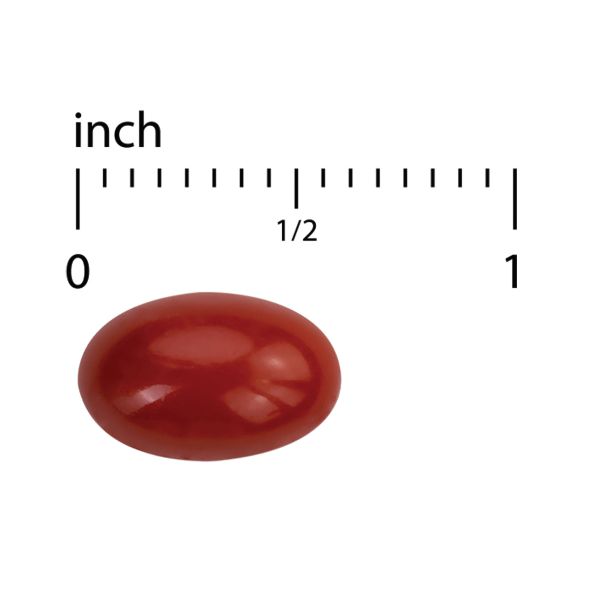 EUR071 | red oval softgel beside inch ruler scale from 0 to 1 with 1/2 mark