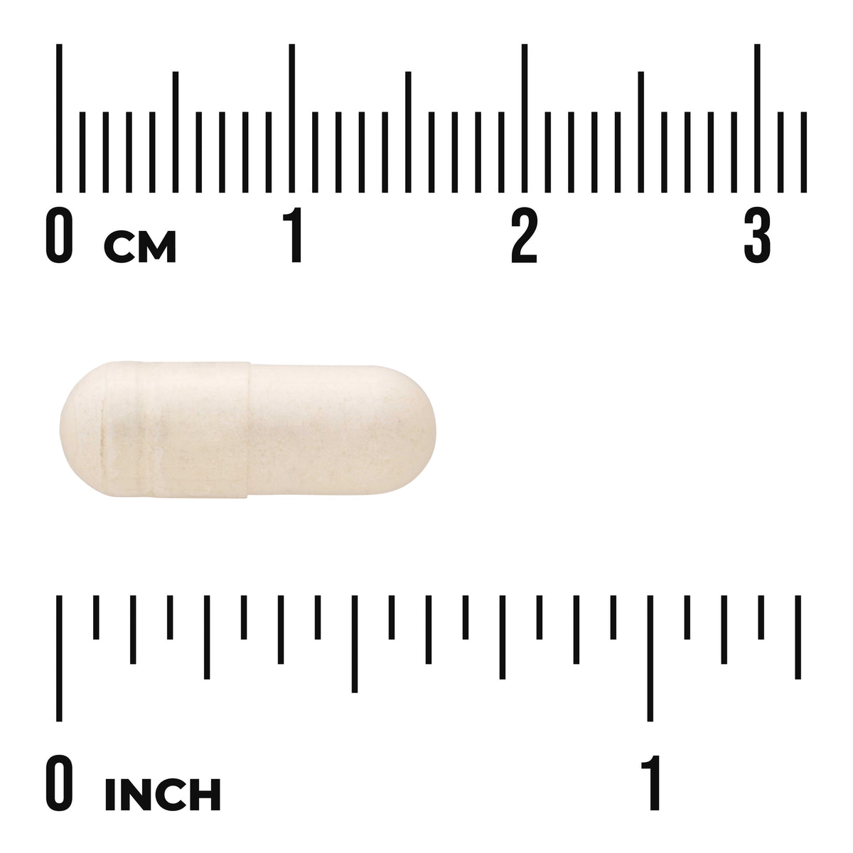SW1605 | Beige capsule shown against size scale in centimeters and inches