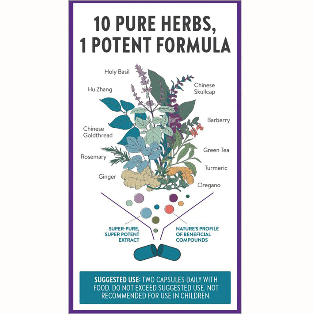 NWC278 | back panel infographic listing 10 herbs with botanical illustration, capsule graphic and suggested use text - Thumbnail
