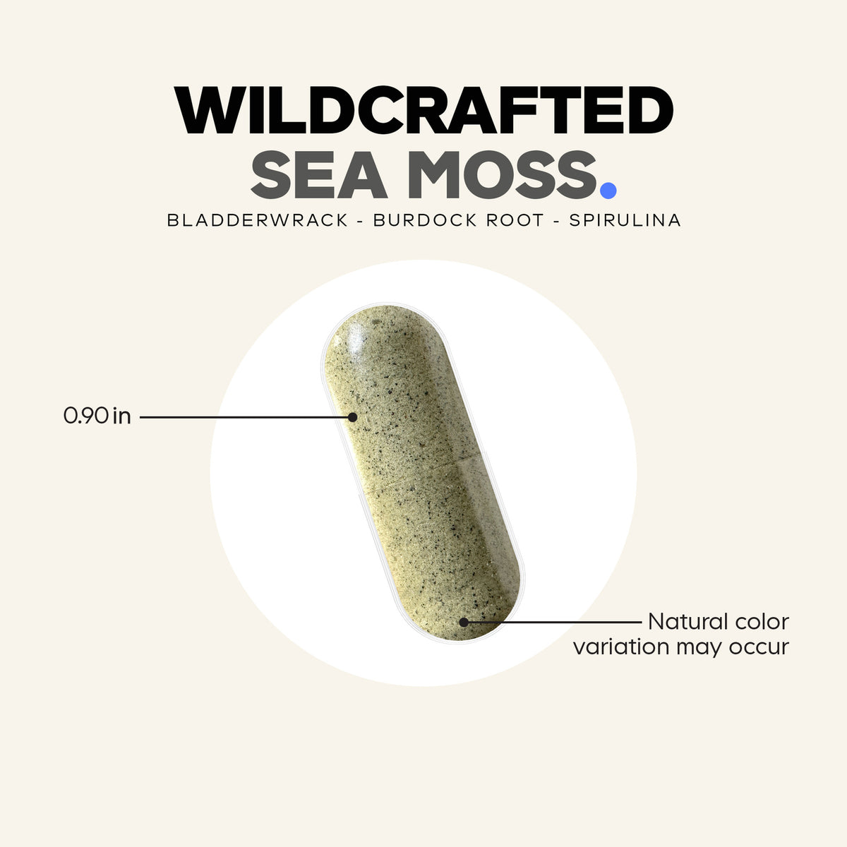 CDG022 | product infographic of a wildcrafted sea moss capsule showing 0.90 in measurement and note Natural color variation may occur