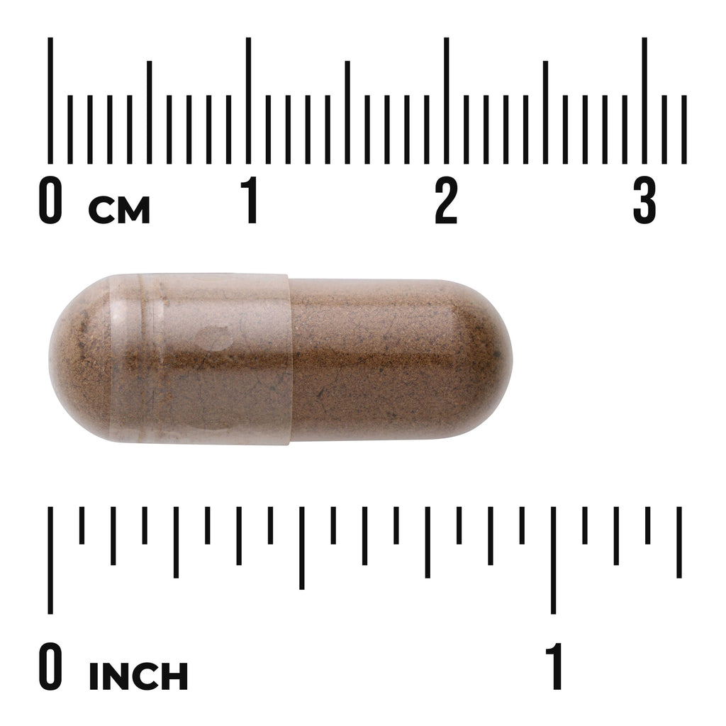 SWU124 | Brown capsule on measurement rulers showing scale with visible text '0 CM' and '0 INCH' - Thumbnail