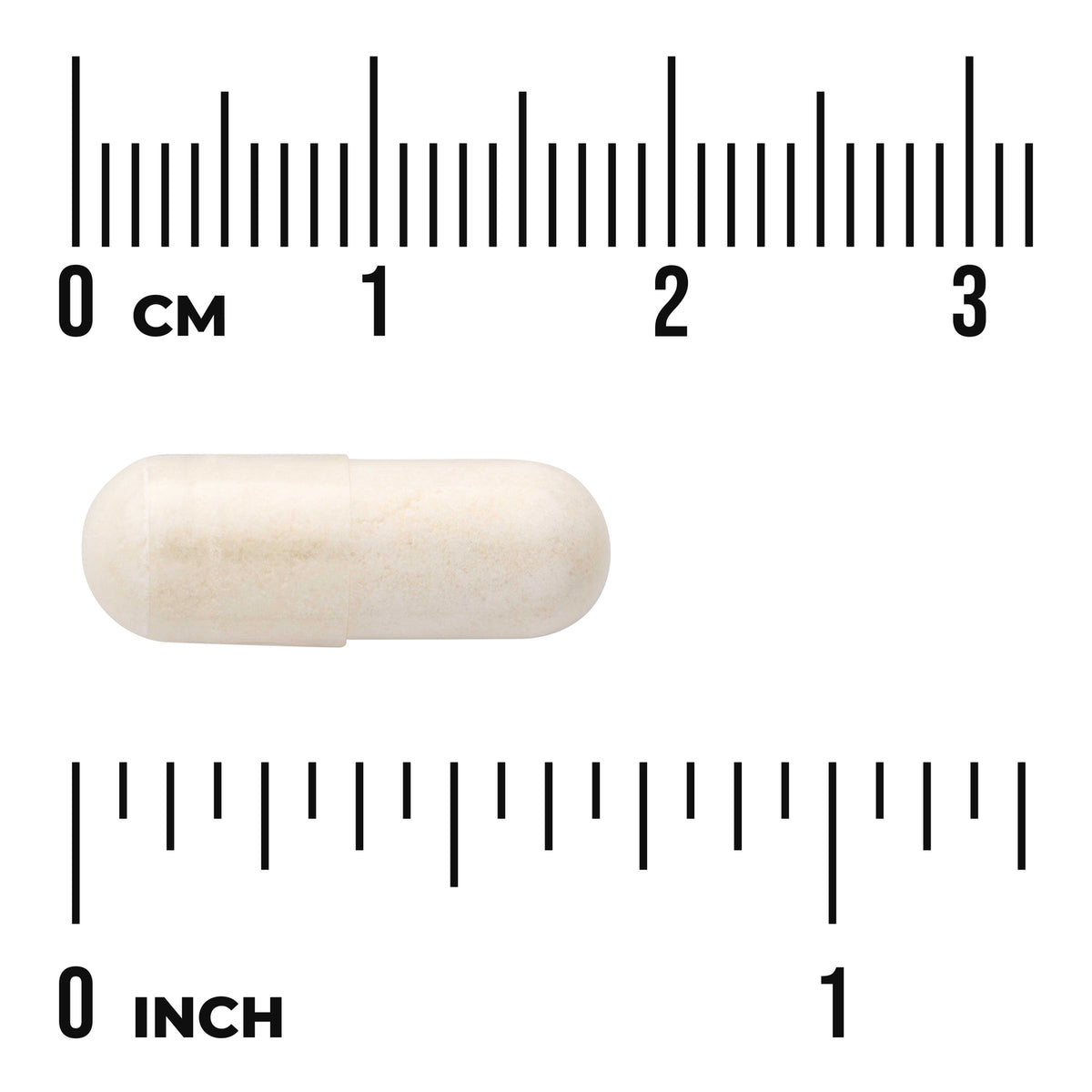 SWU862 | Beige capsule with centimeter and inch rulers for size reference