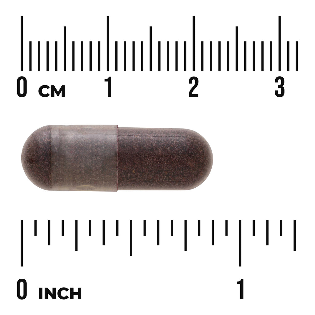 SW1338 | Brown two-piece capsule on white background with centimeter and inch rulers showing size - Thumbnail