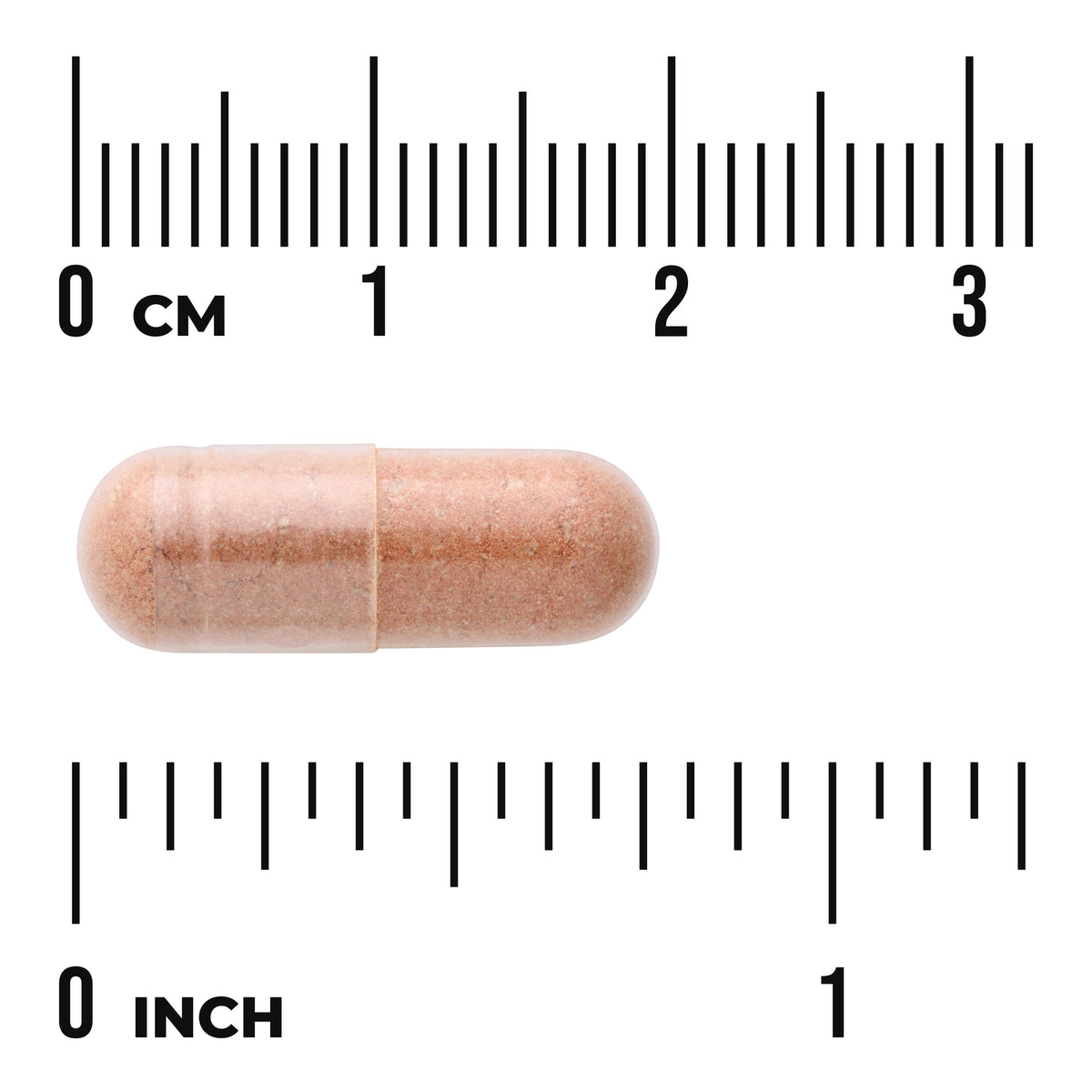 SWU175 | Tan capsule shown with size scale between 03 cm and 01 inch rulers