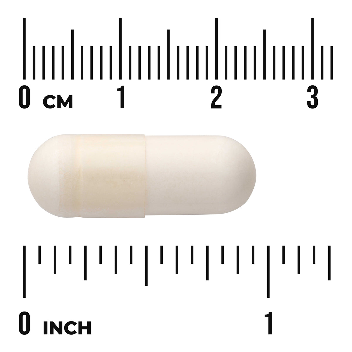 SWU079 | White two-piece capsule on cm and inch rulers showing size, visible text 'CM' and 'INCH'