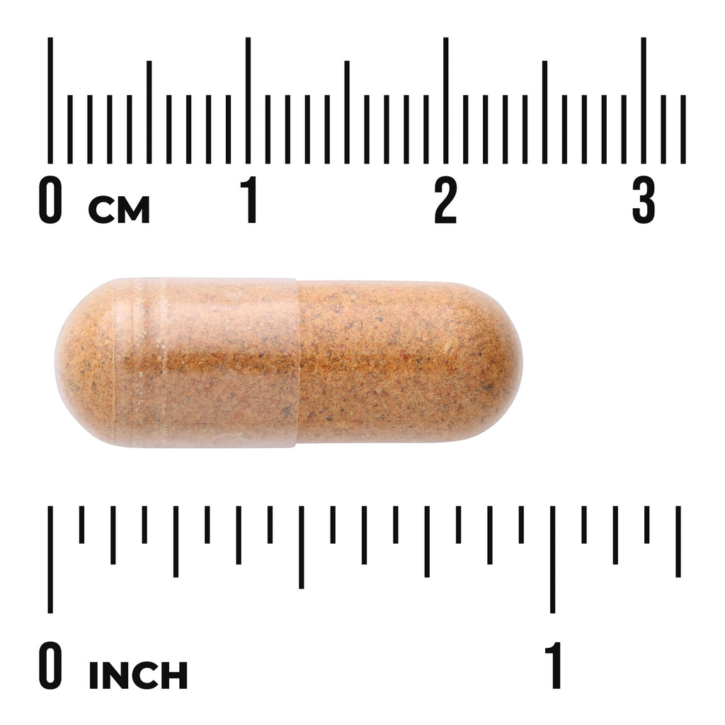 SW1659 | Brown capsule shown with centimeter and inch rulers for size reference - Thumbnail