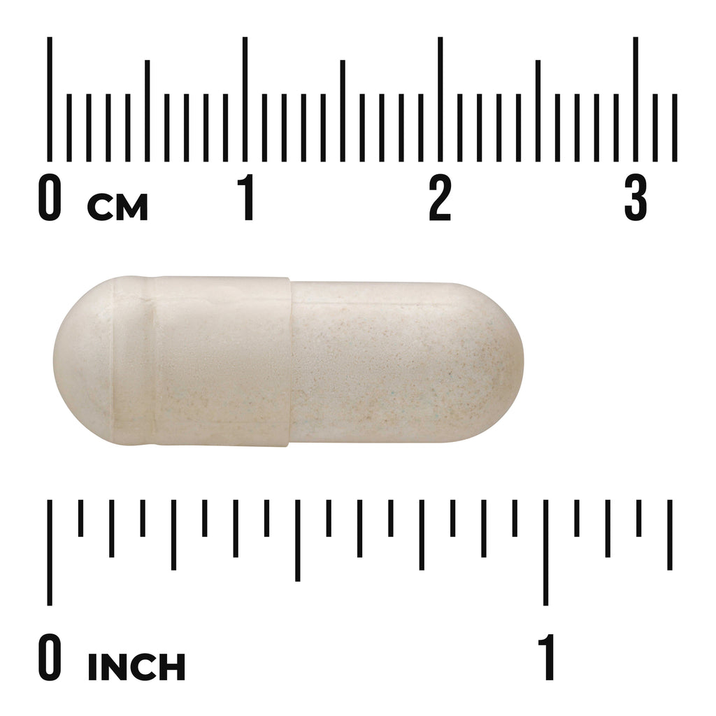 SWC107 | Beige capsule shown with measurement rulers in centimeters and inches to illustrate size - Thumbnail