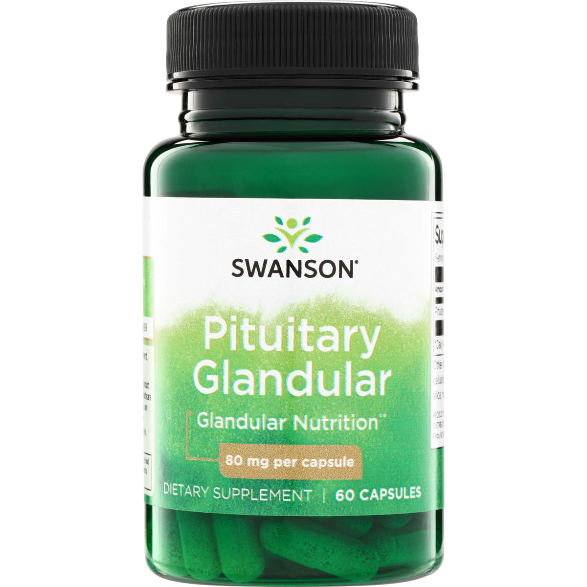 SW1305 | Swanson Pituitary Glandular, 80 mg per capsule, dietary supplement bottle, 60 capsules