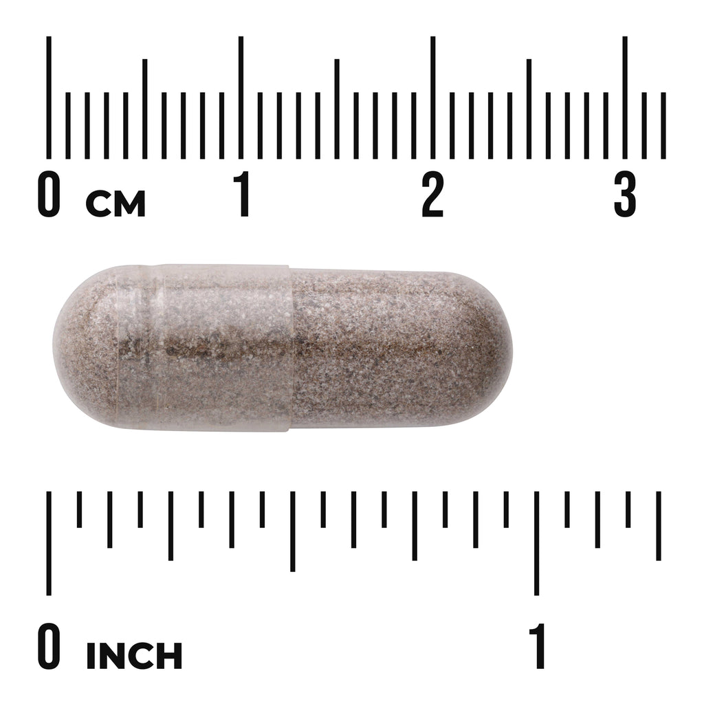 SW1808 | Transparent capsule filled with brown powder between centimeter and inch rulers showing size - Thumbnail