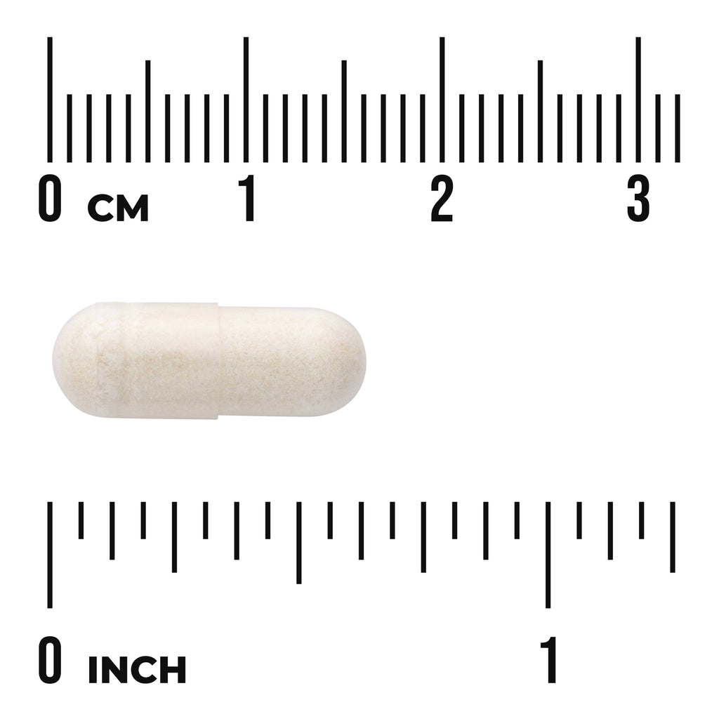 SWU962 | White capsule centered between centimeter and inch rulers showing size with visible text '0 CM' and '0 INCH' - Thumbnail
