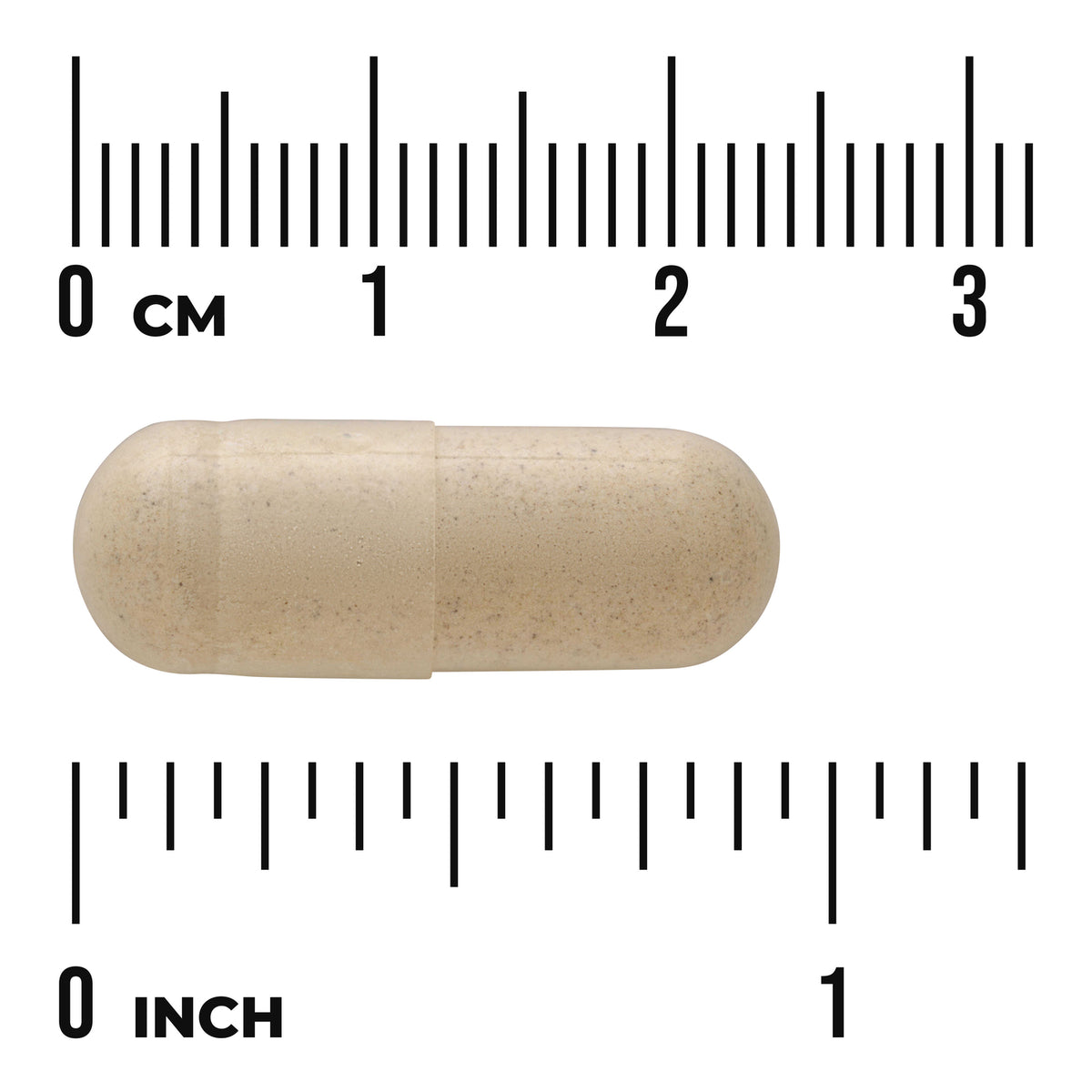 SWU407 | Beige capsule with ruler for scale in centimeters and inches