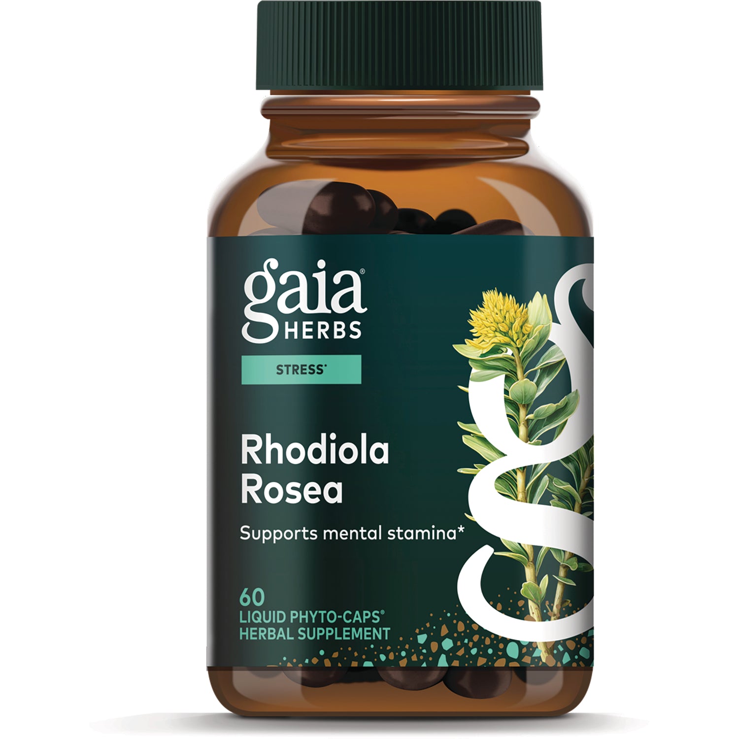 GH019 | Gaia Herbs Rhodiola Rosea supplement bottle labeled Supports mental stamina, 60 liquid phyto-caps