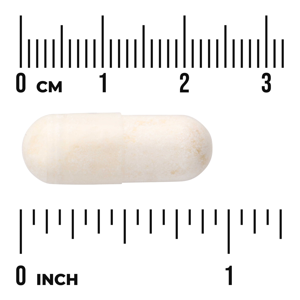 SWA048 | White capsule shown to scale with cm and inch rulers