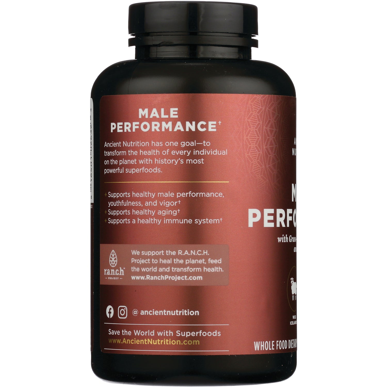 ATN100 | Back label of brown supplement bottle reading MALE PERFORMANCE with benefits list and RanchProject and AncientNutrition URLs