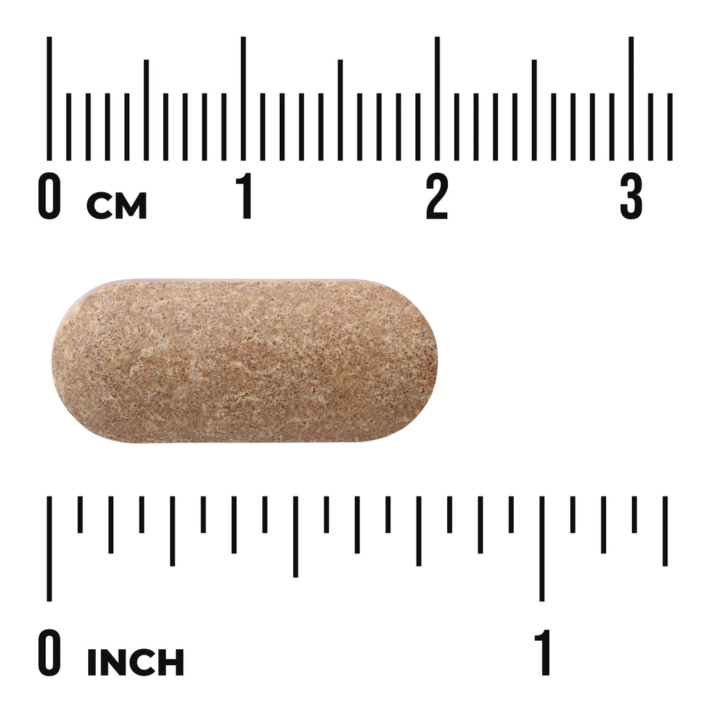 SW1307 | Tan oblong tablet shown against centimeter and inch rulers, about 2.5 cm (1 inch) long - Thumbnail