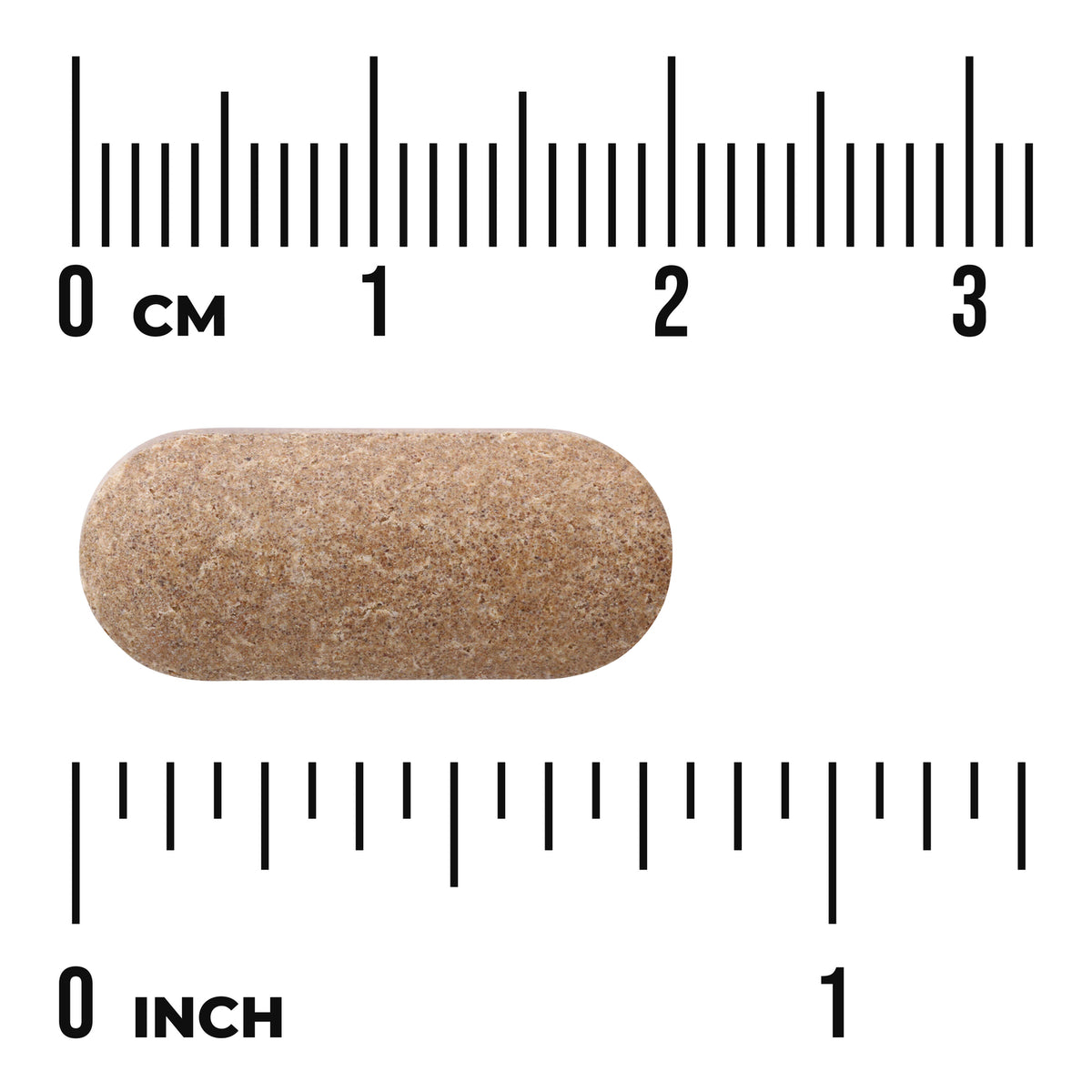 SW1307 | Tan oblong tablet shown against centimeter and inch rulers, about 2.5 cm (1 inch) long