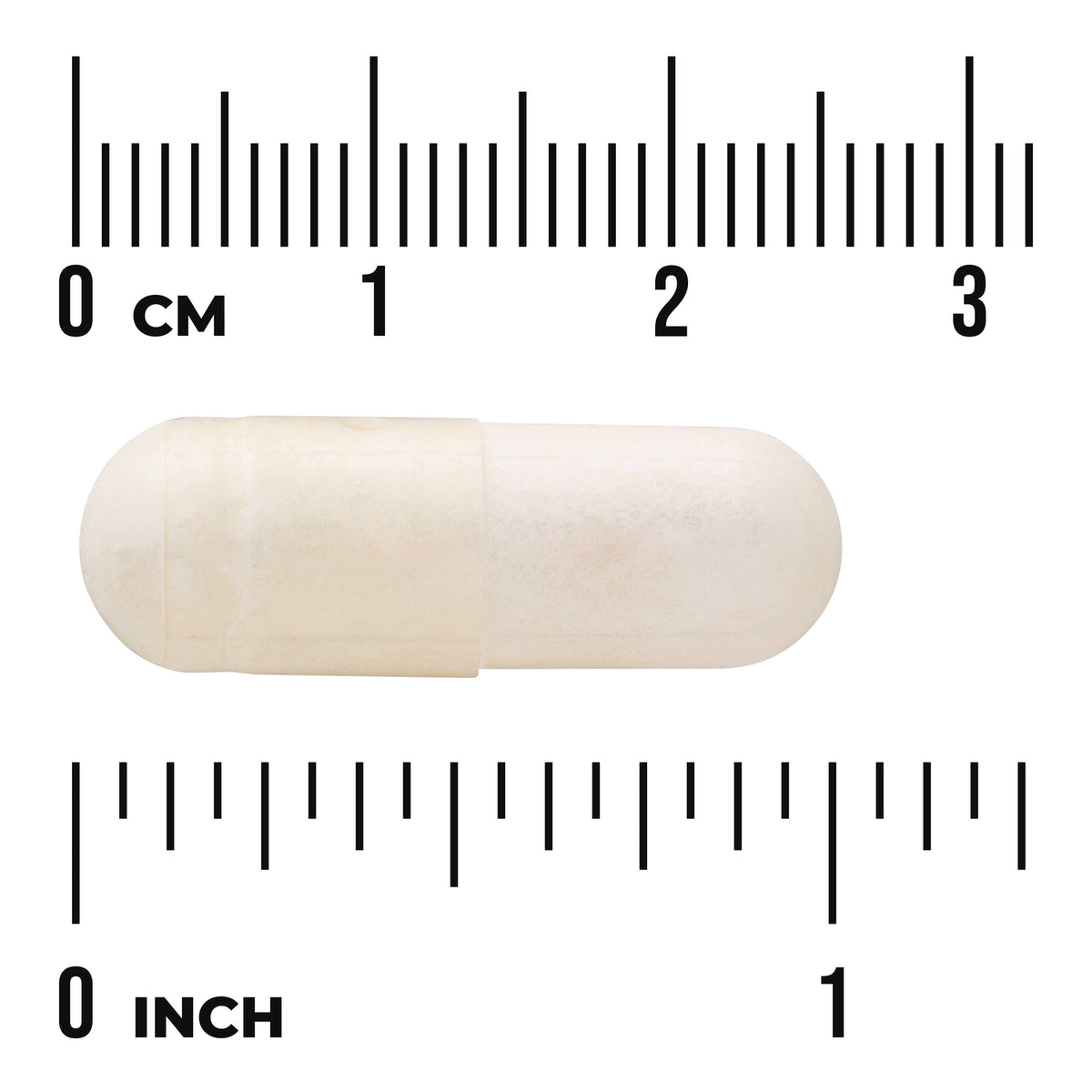 SW1045 | White capsule size shown against ruler in cm and inches