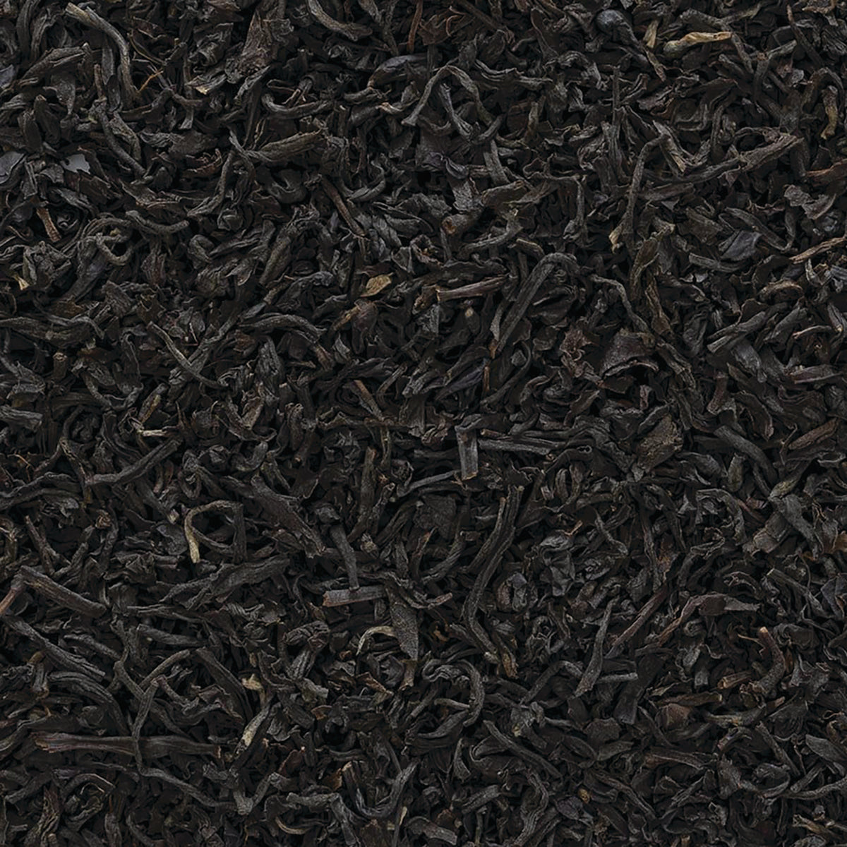 FNP041 | loose black tea leaves close-up texture