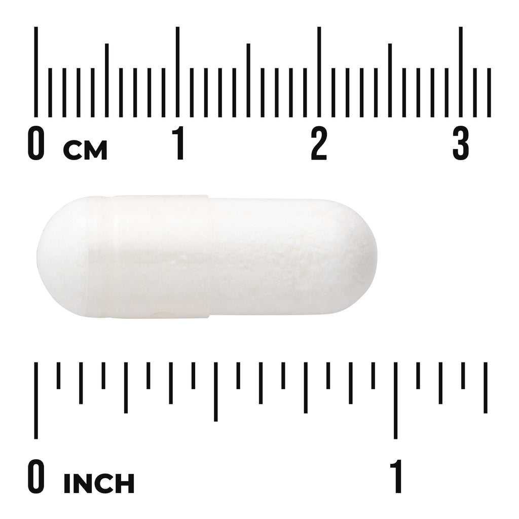 SW871 | White capsule with cm and inch rulers for size reference - Thumbnail