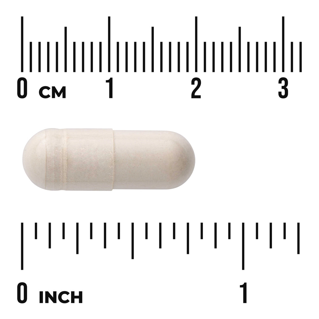 SWU770 | Capsule with size scale in centimeters and inches - Thumbnail