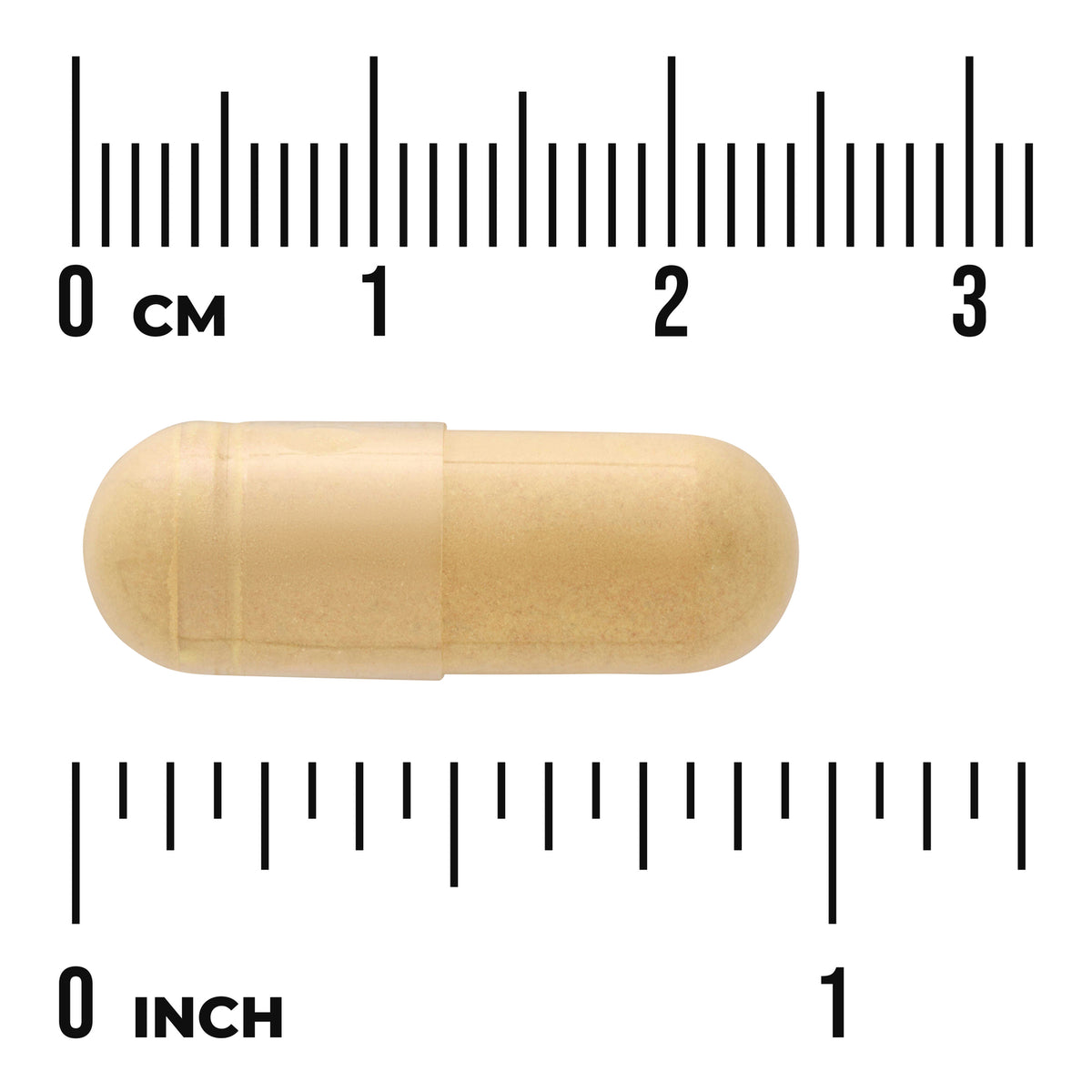 SWC059 | Beige capsule with rulers labeled CM and INCH, showing 03 cm and 01 inch for size reference