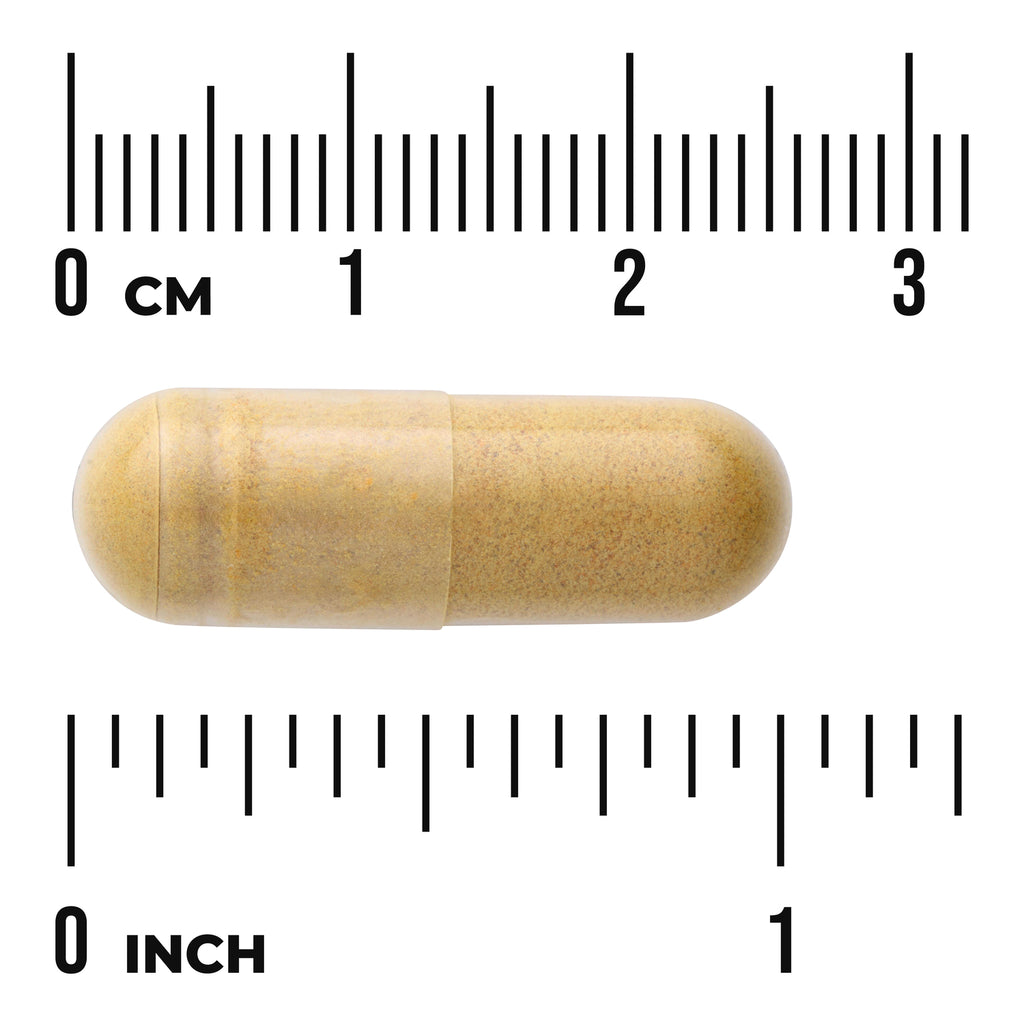SWK019 | Capsule size shown against rulers: 03 cm and 01 inch - Thumbnail